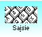 4. Saisie